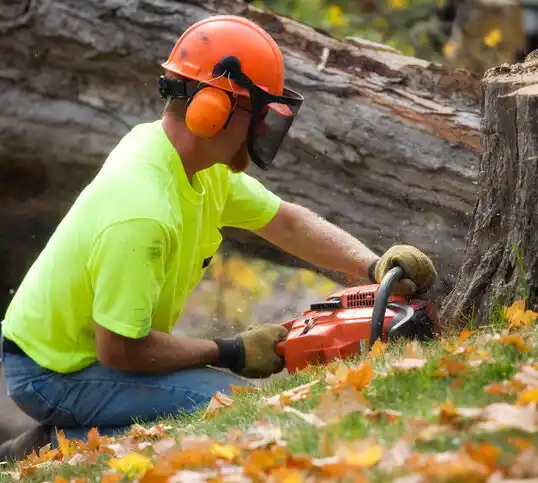 tree services Greentree